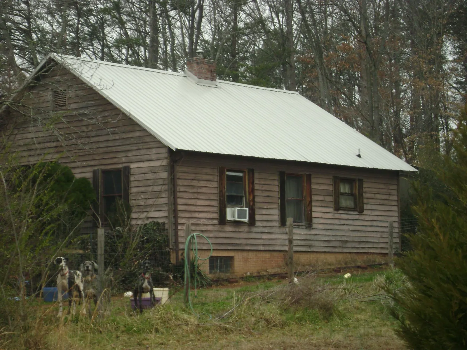 White metal roof on an old wood sided farmhouse, from a Asphalt Shingle Roof Repair job in Orchard Park